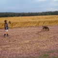 bild-261