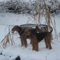 im-schnee-23.jpg