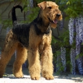 moses-2008-werbefoto-008.jpg