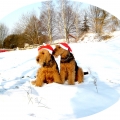 weihnachtsfeen-022.jpg