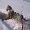 winterbilders-022.jpg