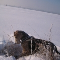 winterbilders-024.jpg