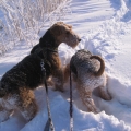 winterbilders-041.jpg