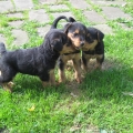 unsere Mädchen