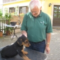 Arthur, erst pikst er mich und nun will er mein Freund werden ( Dr. Helas)