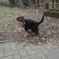 Baldur