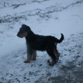Baldur