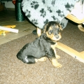 ich bin munter 07.01.2011