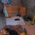 unser Kinderzimmer ist nun viel größer