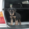mein-auto