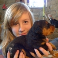 3.woche
