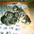 wir sind 4 Wochen