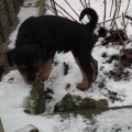 Was-nun ?-21-01