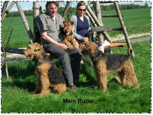 Mein Rudel