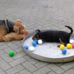 20160707_172853