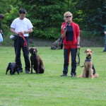 IMG_7844