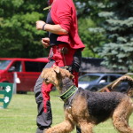 IMG_7925