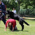 IMG_8052