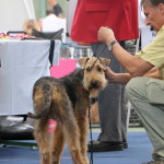 IMG_8256