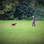 IMG_8763 (2)