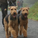 Batseba  und Daphne