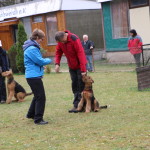 IMG_7193