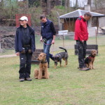IMG_7201