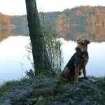 am See