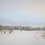 20150126_081059 11 (2)