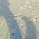 20150126_120824 1 (2)