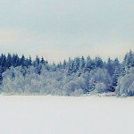 Eisgespenster