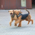 IMG_9842