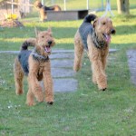 IMG_9847 (2)