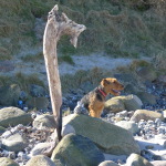 Realität und Naturkunst