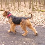 IMG-20160403-WA0004[1]