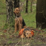 IMG_1245