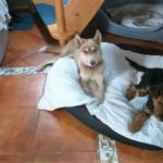 IMG-20160906-WA0001