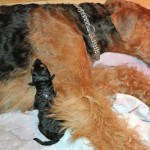 IMG_1771 (2)