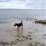 IMG-20160829-WA0004
