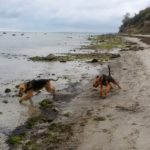 IMG-20160829-WA0005