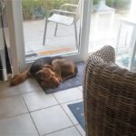IMG-20160829-WA0006