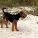 IMG-20160901-WA0000