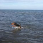 IMG-20160902-WA0000