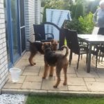 IMG-20160902-WA0002