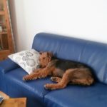 IMG-20160903-WA0004