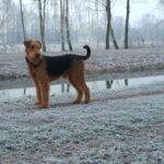 img-20161204-wa0012