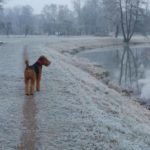 img-20161204-wa0013